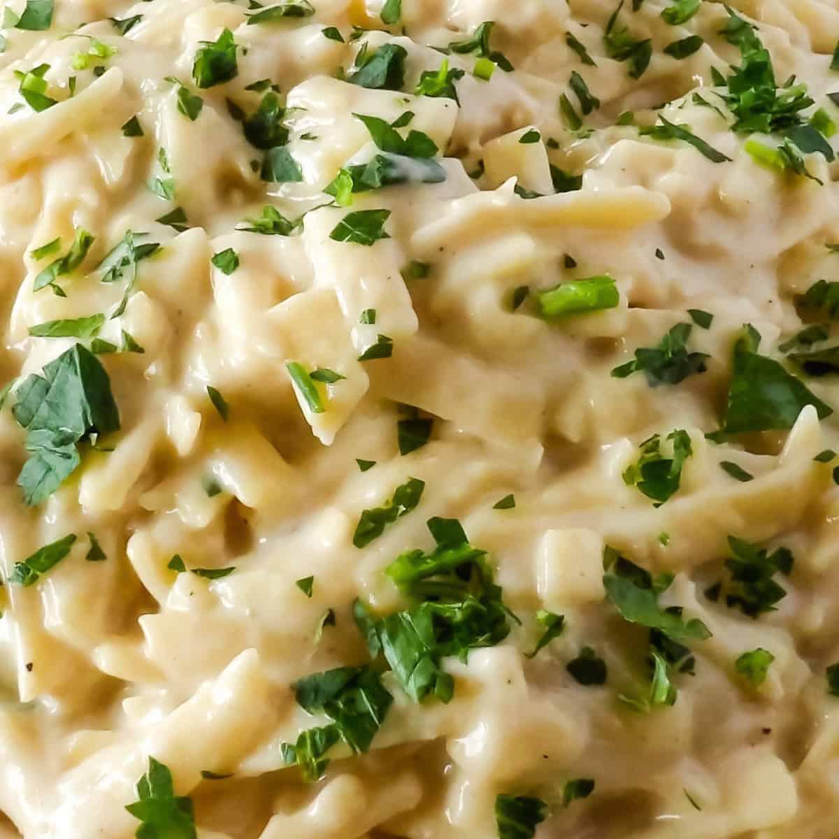 Close up of cooked chicken fettuccine alfredo garnished with fresh parsley.