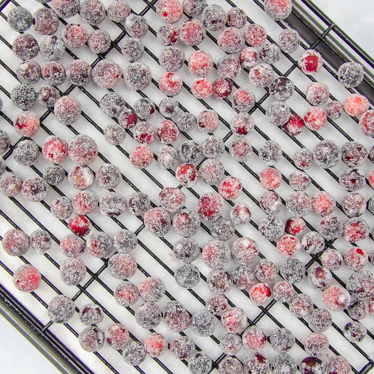 Sugar coated cranberries drying on a black metal rack.