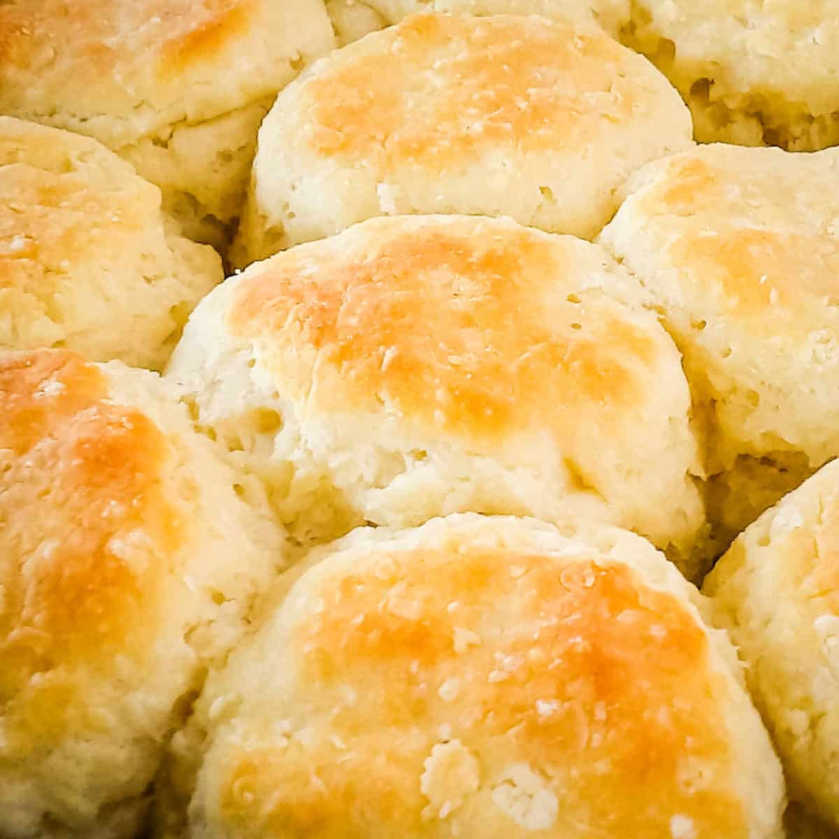 Close-up of baked homemade buttermilk biscuits.