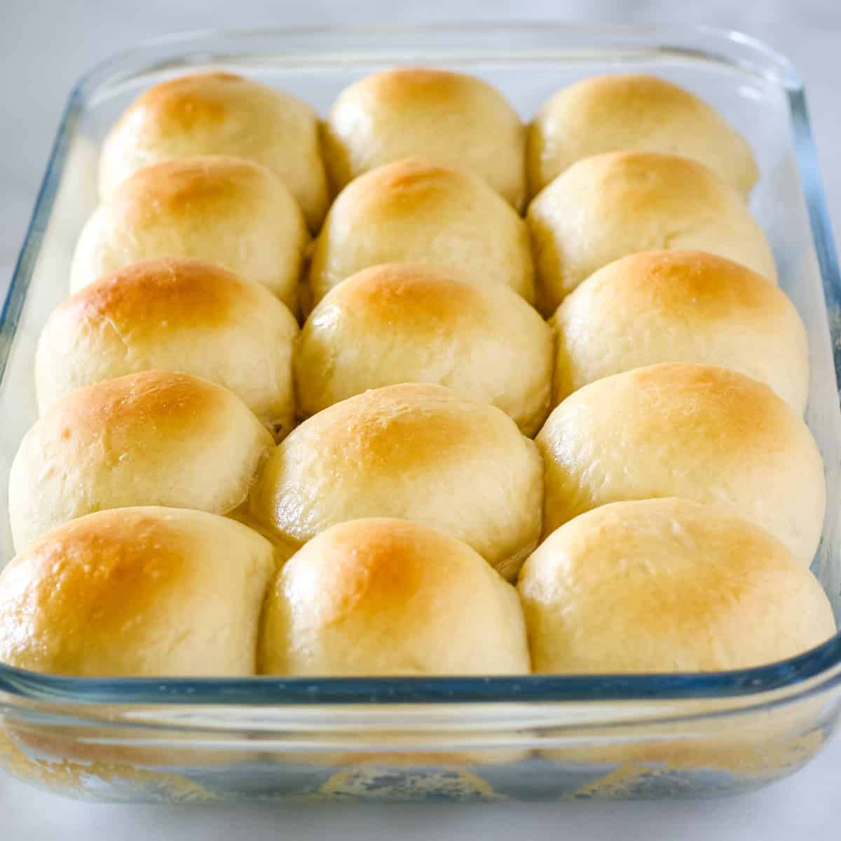 Homemade bread rolls in a glass baking dish.