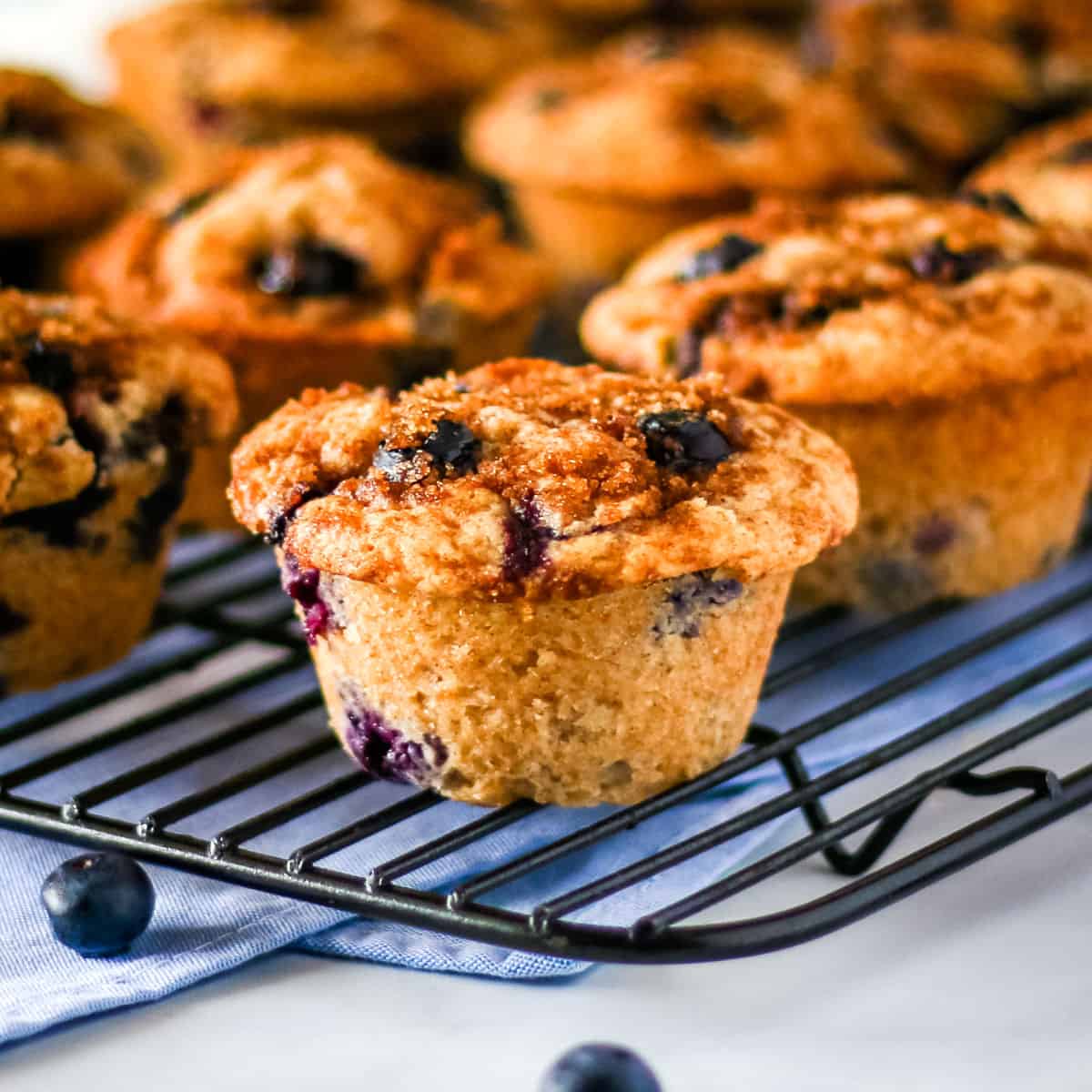 Homemade blueberry muffins on a black cooling rack.