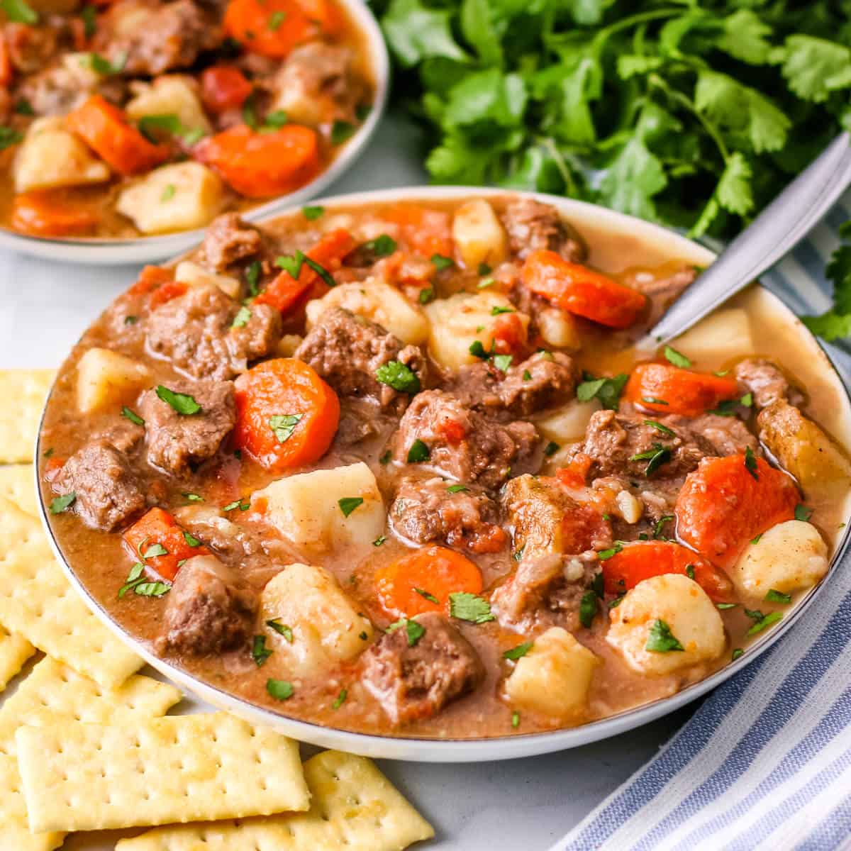 Slow cooker venison stew garnished with chopped parsley in a white bowl.