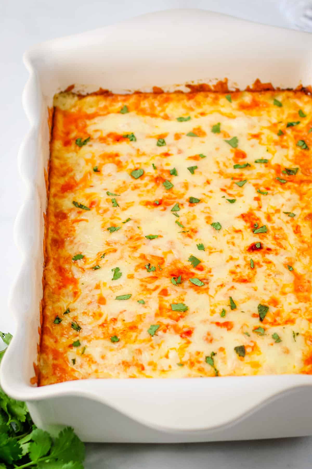 Chicken enchilada casserole garnished with fresh chopped cilantro in a white baking dish.