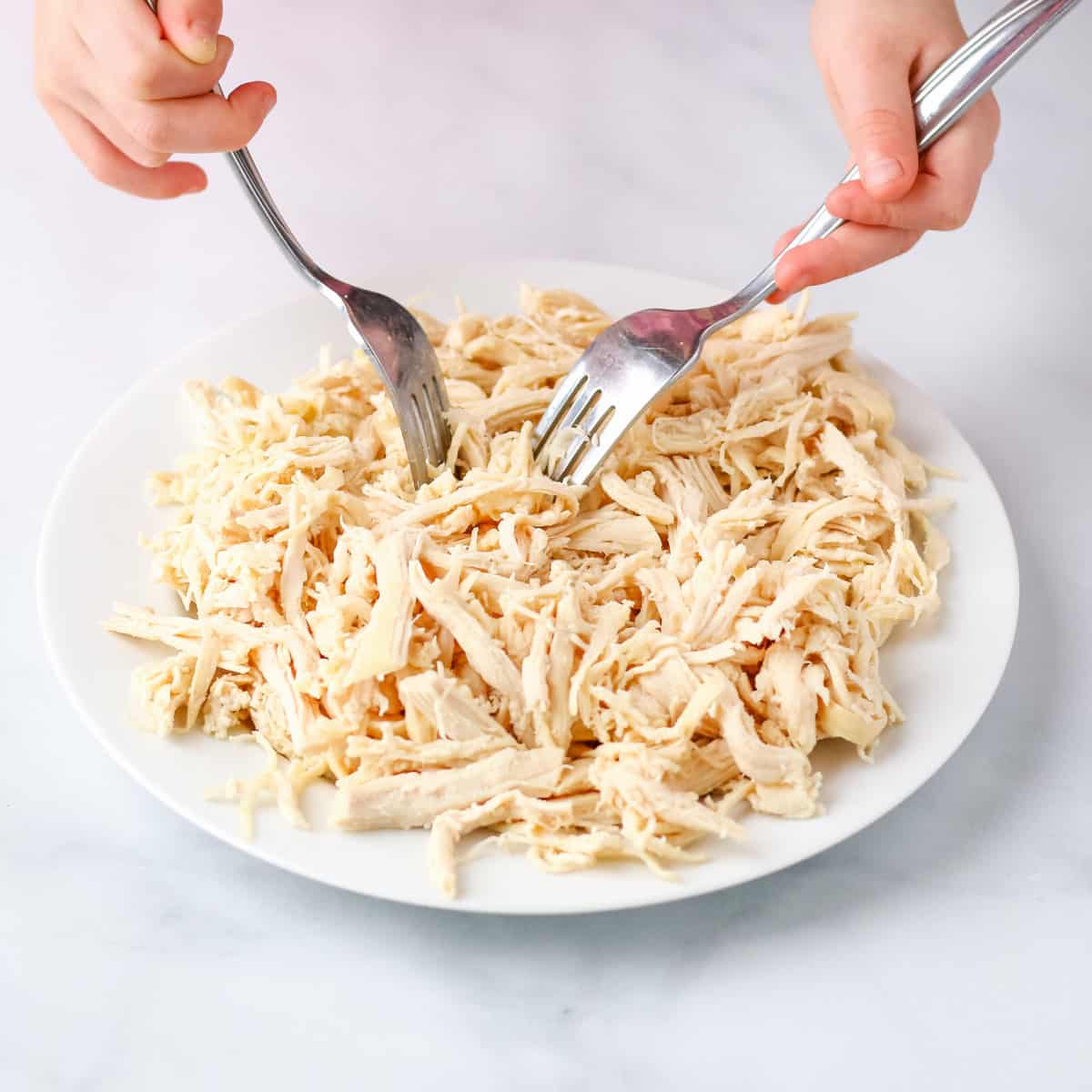 Shredding chicken with 2 silver forks on a white plate.
