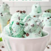 Homemade chocolate chip mint ice cream in a white bowl.