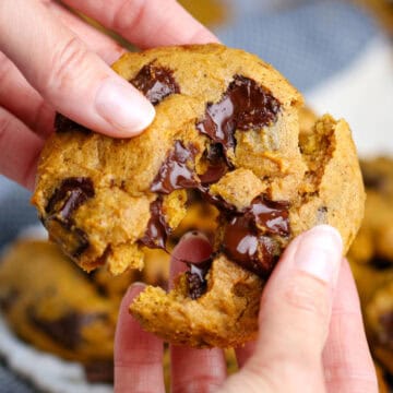 Close up view of a warm pumpkin chocolate chip cookie being pulled in half with melted chocolate stretching between the two pieces.